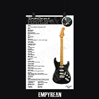 David Gilmour Stratocaster Guitar Specs Black Strat Poster Pink Floyd Art Print